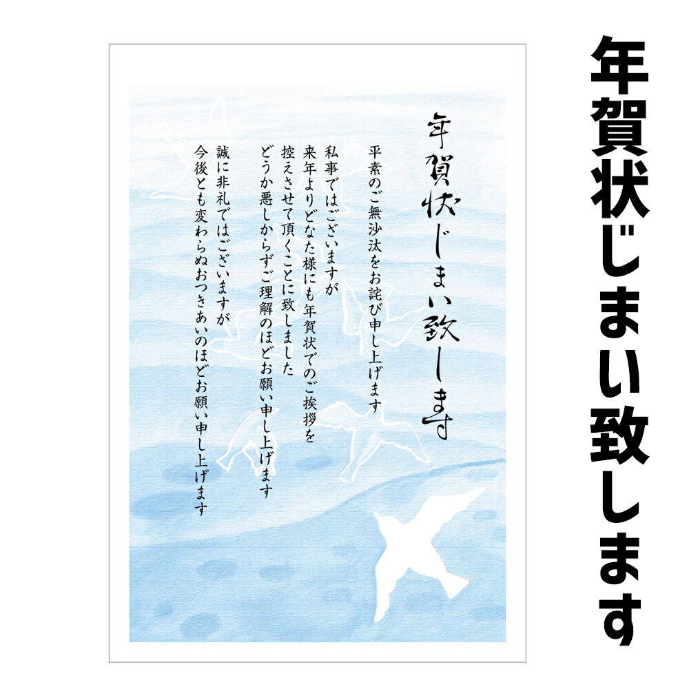 年賀状じまい はがき 私製はがき 10枚入(839大空へ) 年賀状での挨拶をやめる 文章印刷済み私製はがきのため切手をご準備下さい