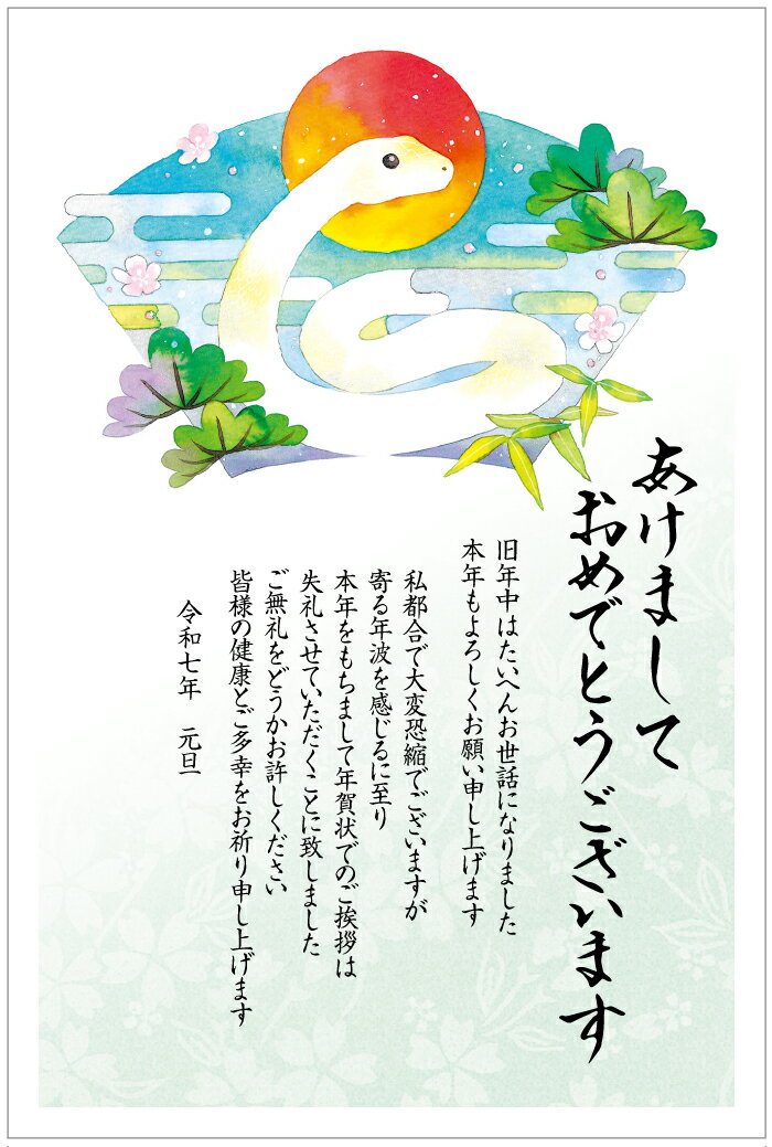 年賀状じまい 年賀はがき10枚パック 終活年賀状 お年玉付き年賀状 2024 辰年 年賀状じまい文章(nenga-kk492fin)のサムネイル