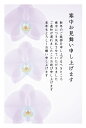 私製 5枚 寒中見舞はがき(喪中用文章 k806) 切手なし/裏面印刷済み/ポストカード 名入れオプション同時購入で名入れできます 【BO】