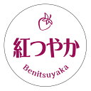 紅つやか シール(3041)丸形 (サイズ40ミリ-120枚) (サイズ30ミリ-240枚) いちご 品種 シール
