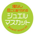 種なし 皮ごと食べられる ジュエルマスカット　シール（263）丸形30ミリ 240枚 上質紙