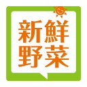新鮮野菜 シール(504)角丸40ミリ または 角丸30ミリ 食品販促シール