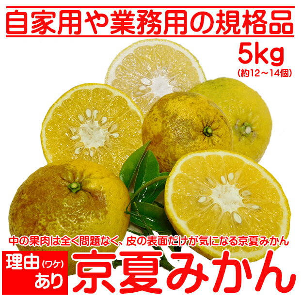 自家用や業務用の規格品京都産 理由（わけ）あり 京夏みかん L・2L・3Lサイズ（直径9.5〜12.0cm）5kg(約12〜14個)京都府産 京都府 京夏..