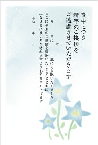 《官製 10枚》喪中はがき 手書き記入タイプ《63円切手付ハガキ/裏面印刷済み》k819