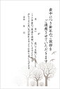 私製 10枚 喪中はがき 手書き記入タイプ 私製ハガキ/切手なし/裏面印刷済み k820