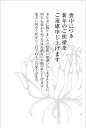 枚数：10枚セット 宛名面：「私製はがき」（郵便枠グレー/切手なし） ※郵便枠グレー　ハガキの厚さは官製はがきよりやや薄い 発送方法：メール便（ポスト投函） 喪中のご挨拶に！ スタンダードなデザインなのでオールマイティに使えます！ ※郵便枠グレー私製ハガキの紙の重さは139kg官製はがきよりやや薄い