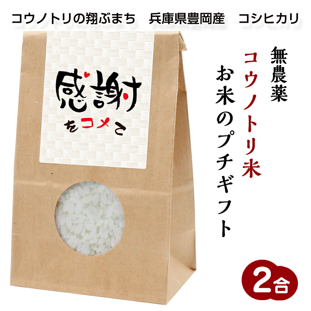 お米のプチギフト無農