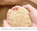 ＼送料無料／令和5年産　農薬不使用　コウノトリ米　20キロ＜玄米/白米＞兵庫県豊岡産 コウノトリ農法 農薬不使用 無農薬 育む コウノトリ米 育む米【送料無料】@ 2