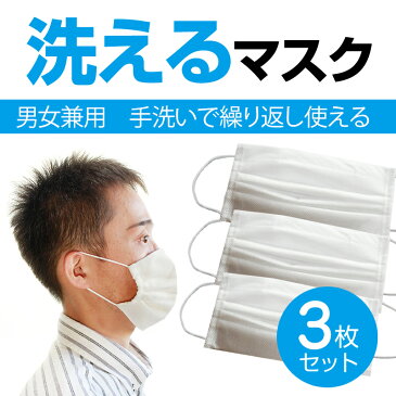 【4月27日出荷】【国産】洗えるマスク 3枚セット 大人サイズ不織布 男女兼用 手洗いで繰り返し使える ポケット付