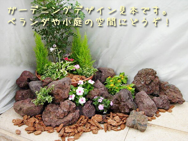 楽天市場】溶岩石 庭(農業資材|ガーデニング・農業):花 楽天市場】溶岩石 庭(農業資材|ガーデニング・農業):花