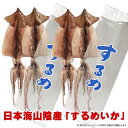 するめいかの一夜干し 2Lサイズ 4枚入【クール冷凍便】美味しい酒の肴 特産品 炙って美味しい BBQ 日本海 お酒のお供に♪スルメイカ@