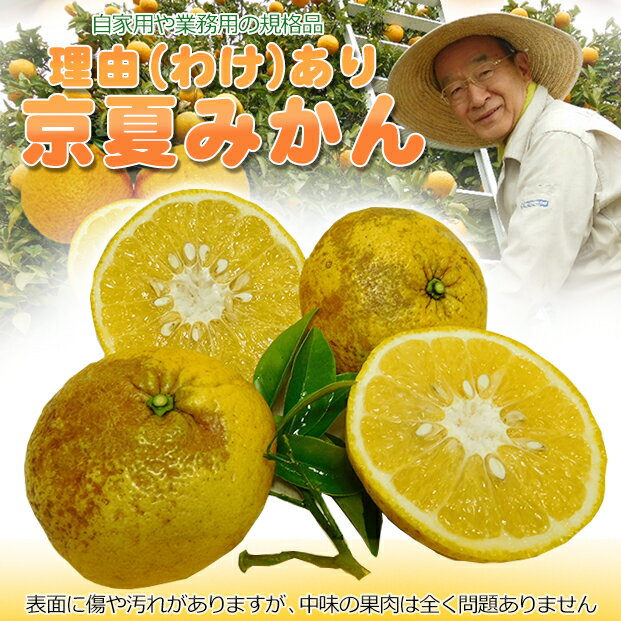 全国お取り寄せグルメ京都フルーツ・果物No.1