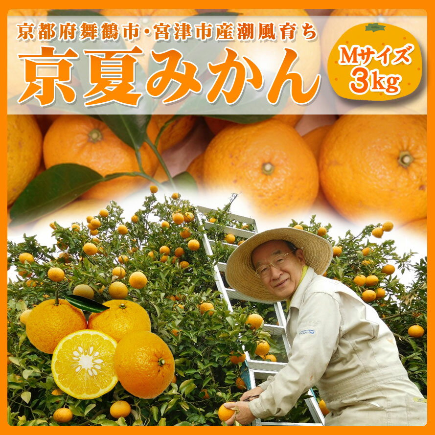 全国お取り寄せグルメ京都フルーツ・果物No.9