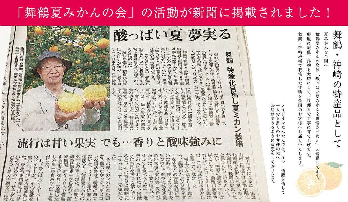 サンプル画像3
