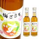 リニューアル!トキワ 梅ごこち 300ml 2本セット(清涼飲料水)※5倍希釈タイプ※うめごこち梅心地うめ心地umegokochi umegokoti ウメゴコ...