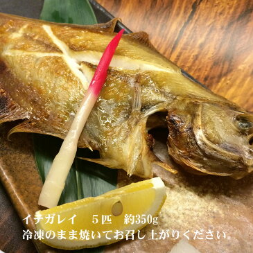 人気のお魚干物セット日本海でとれた！イテガレイ、ハタハタ、ドギ（ゲンゲ）、エイヒレセット【はたはた】【日本海】【浜坂】【手作り】【エイ】【鰈】【お中元】【お歳暮】【ギフト】【贈答】