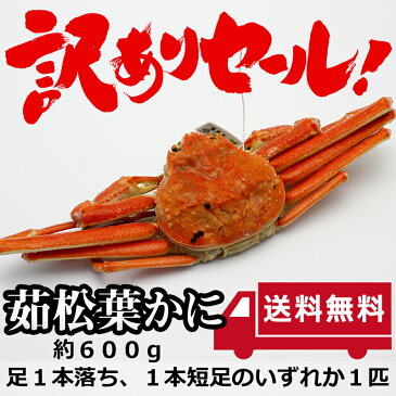 訳ありセール送料無料! 茹で松葉ガニ姿(約600g)かにすき お刺身 かに カニ 蟹 ずわい ズワイ 松葉かに ズワイガニ かに鍋 御歳暮 かに 通販 カニ焼きガニ ブランド蟹 タグ付き
