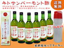 キトサン バーモント酢 500ml×6本高分子水溶性キチン キトサン配合 (8倍希釈用)【fsp2124】【送料無料】世界初の偉業