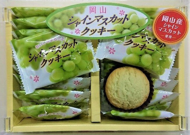 シャインマスカットクッキー(小) 「新商品」 岡山土産 岡山 ギフト お菓子 お取り寄せ 特産品 岡山県 グルメ プレゼント お菓子詰め合せ 岡山特産品 クッキー 岡山県産シャインマスカットパウダー使用 多い枚数 シャインマスカット 洋菓子 贈り物