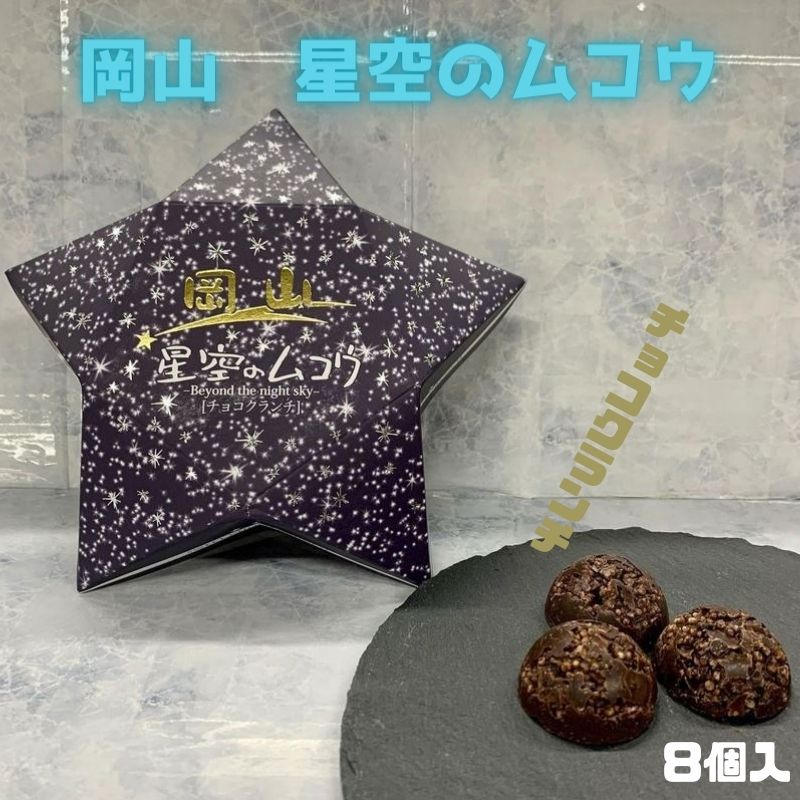 チョコレート プチギフト 岡山星空のムコウ チョコクランチ バレンタイン 岡山 お菓子 お取り寄せ ギフト 特産品 岡山県 グルメ 8個入 岡山土産 プレゼント 星形 かわいい 洋菓子 スイーツ クランチ チョコ 帰省 手土産 個包装