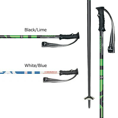 MASTERS〔マスター スキー ポール・ストック〕＜2020＞EXCITE