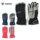 エントリでP4倍 3/30限定 スキー グローブ キッズ ジュニア GOLDWIN ゴールドウイン ＜2023＞ GJ81321P / Jr. Multi Ski Gloves