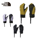 THE NORTH FACE ザ・ノースフェイス スキーグローブ キッズ ジュニア＜2024＞ NNJ62101 / Kids' WP Freeride Glove キッズウォータープルーフフリーライドグローブ