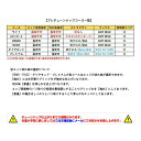 【スキー板同時購入のみ】 プレチューンナップ スタンダードコース 〔機械仕上げ〕 スキー スノーボード スノボ 3