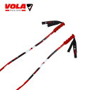 VOLA ボラ スキー ポール ストック メンズ レディース<2025> GS ALU / VLFV1GS