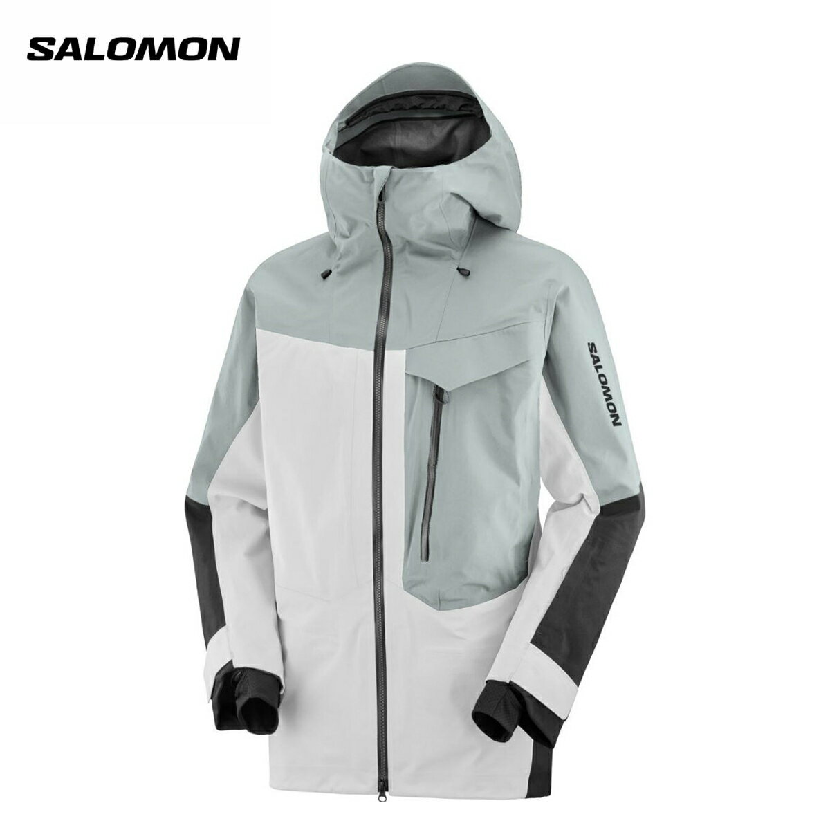 【エントリーでP最大10倍！24日20時〜】SALOMON サロモン スキー ウェア レディース ジャケット＜2025＞MOON PATROL GORETEX JKT W