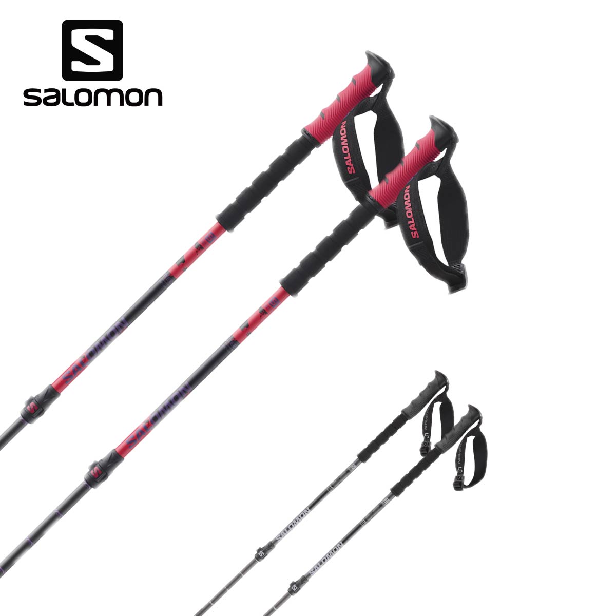 楽天市場】SALOMON サロモン（ストック｜スキー用品）：ウィンター