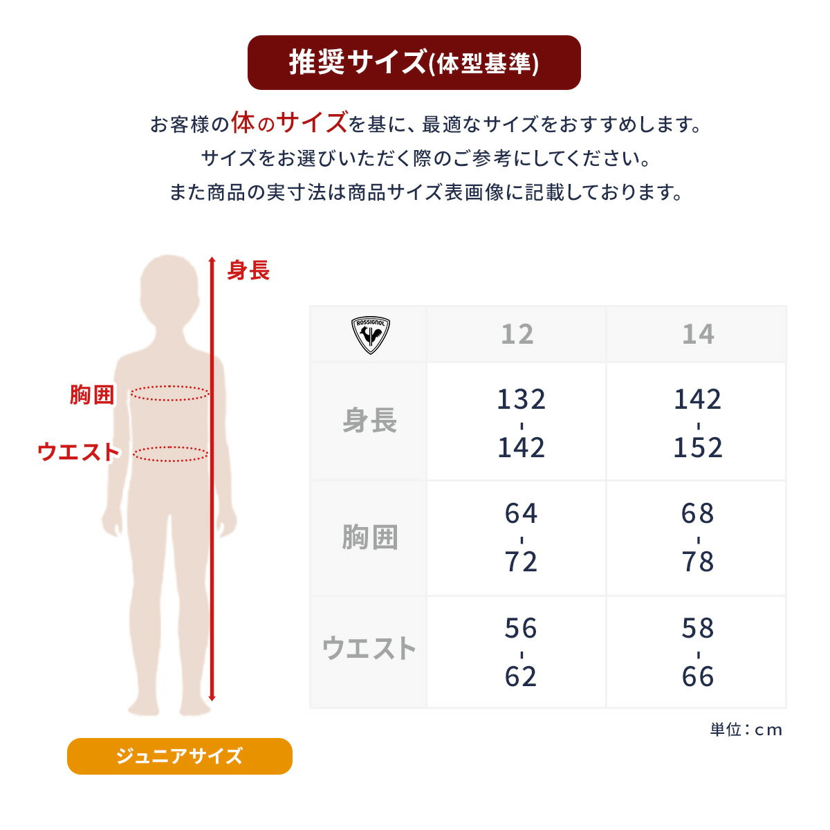 楽天市場】スキー レーシング ワンピース ジュニアの通販