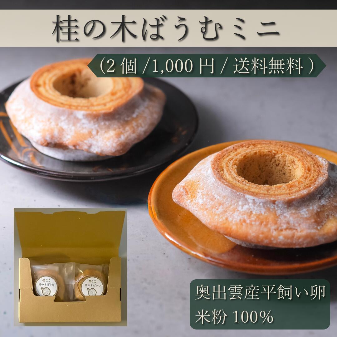 1000円ポッキリ　送料無料　お試しバウム