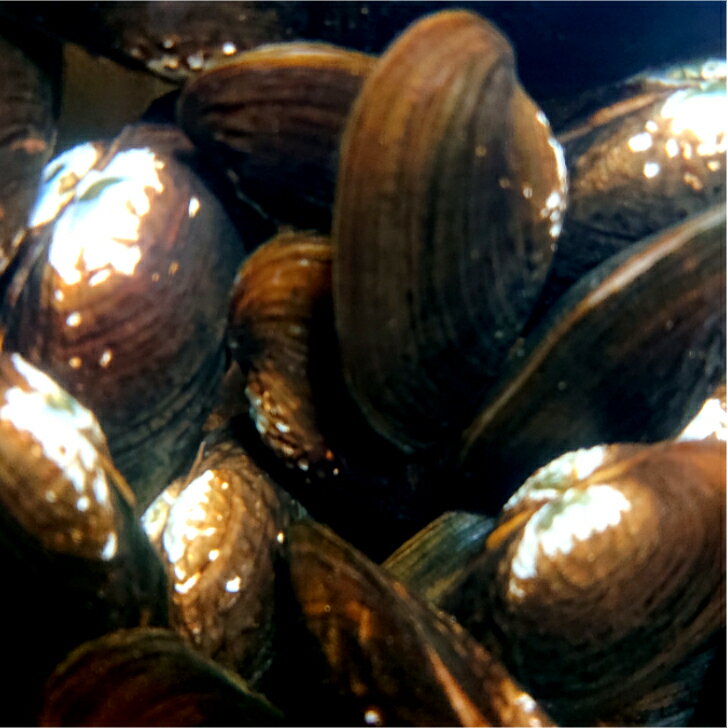 ������ 5��8����� 3�ĥ��å� ����̵�� ø�����糭 ���ʥ� ���ʤ� �Ѿ޵����� ���ܻ�ø��� ����