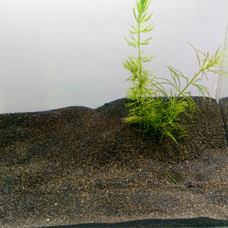 ������20��������� ����̵�� ����� �� �Ѿ޵����캽 ���糭���� �������ꥦ������� �����ǥ˥� �ƥ�ꥦ�� �ڥå�