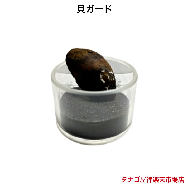 商品情報寸法直径8センチ高さ5センチ板厚0，4センチ材質アクリル使用匹数二枚貝4～5センチサイズで1～2匹使用目安30～60センチ水槽：貝ガードM1個90センチ水槽：貝ガード2個～5個120センチ水槽：貝ガード5個～8個150センチ水槽：8個～10個貝ガード M 送料無料 タナゴ ヒガイ類産卵用 たなご 淡水二枚貝飼育用 観賞魚販売 日本産淡水魚 ペット稚魚 アクアリウム タナゴ産卵の必需品二枚貝が長生き・貝が動き回れないからタナゴが産卵場所を覚えレイアウトを維持 ・タナゴ＆ヒガイ類産卵用貝ガードは淡水二枚貝飼育用に作りましたので水槽内に設置して砂を入れてご使用ください。・貝が動き回らないから体力を温存できてレイアウトを壊しません。・タナゴ類が産卵場所を覚えるから卵を産み付けやすい。・別売りの藍禅砂（アイゼンスナ）と併用で二枚貝の長期飼育が可能になります。・1つ1つ手作りですので小キズがある場合がありますがご了承の上ご注文して下さい。・沖縄県・九州・北海道からのご注文は別途￥500円がかかりますので考慮にいれてご注文してください。・（ご注文時に）ご都合で受け取り出来ない日がある場合にはメールかお電話でお知らせください。日時指定で発送の手配をさせて頂きます。●店舗でも販売しておりますのでご注文いただきましても売り切れの場合があります。●店舗での販売価格と違う場合があります。 5