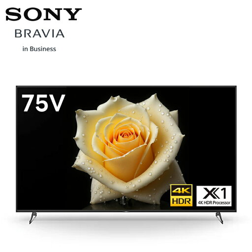 【3年または5年 保証付き】 FW-75BZ40L 75型4Kディスプレイ ソニー SONY 液晶モニター 法人向けブラビア 会議 サイネージ 【納期:1週間程 メーカー直送品 代引き・キャンセル不可】 【3年または5年 保証付き】 FW-75BZ40L 75型4Kディスプレイ ソニー SONY 液晶モニター 法人向けブラビア 会議 サイネージ 【納期:1週間程 メーカー直送品 代引き・キャンセル不可】