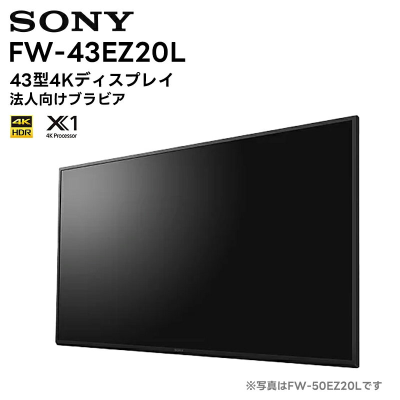 ڥ᡼ľ 󥻥ԲġFW-43EZ20L 434Kǥץ쥤 ˡ SONY վ˥ ˡ͸֥ӥ  ͡