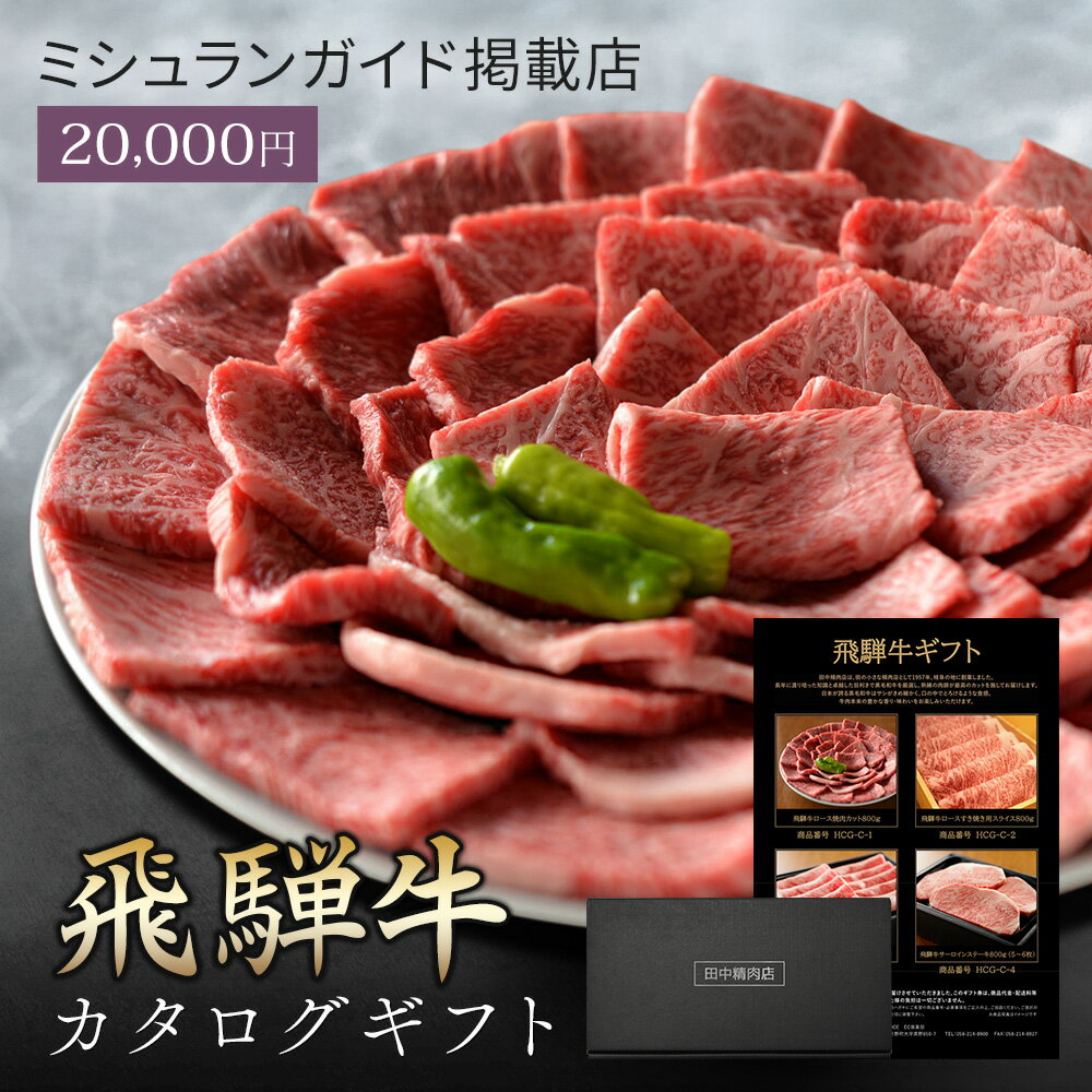 肉 ギフト 【 飛騨牛 