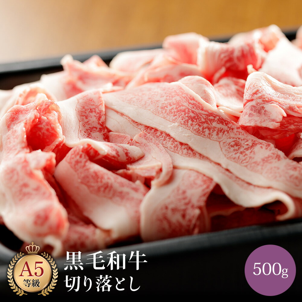 ミシュラン掲載店 田中精肉店 国産 和牛 切り落とし 牛肉 ( 黒毛和牛 500g ) 国産和牛 牛 切落し 切り落とし 切落とし 切り落とし肉 切り落とし牛肉 お取り寄せグルメ 高級 お肉 人気 お取り寄せ グルメ 食べ物 バーベキュー BBQ 肉 食材 牛丼 カレー 炒め物