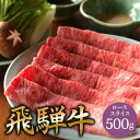 御中元 A5 飛騨牛 ロース しゃぶしゃぶ 用 肉 スライス 500g 国産 和牛 しゃぶしゃぶ用肉 a5 お取り寄せ グルメ 牛肉 牛 国産和牛 お取り寄せグ...