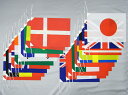 日本製 テトロン 万国旗 （ポリエステル） 個別ひも付き 20ヶ国 小旗