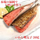 いわし明太子 20尾 ( 5尾 x 4 ) 福岡加工 国産 イワシ 博多 グルメ 高級 おつまみ 父の日 母の日 お歳暮 お中元 お祝い 珍味 老舗 ギフト 明...