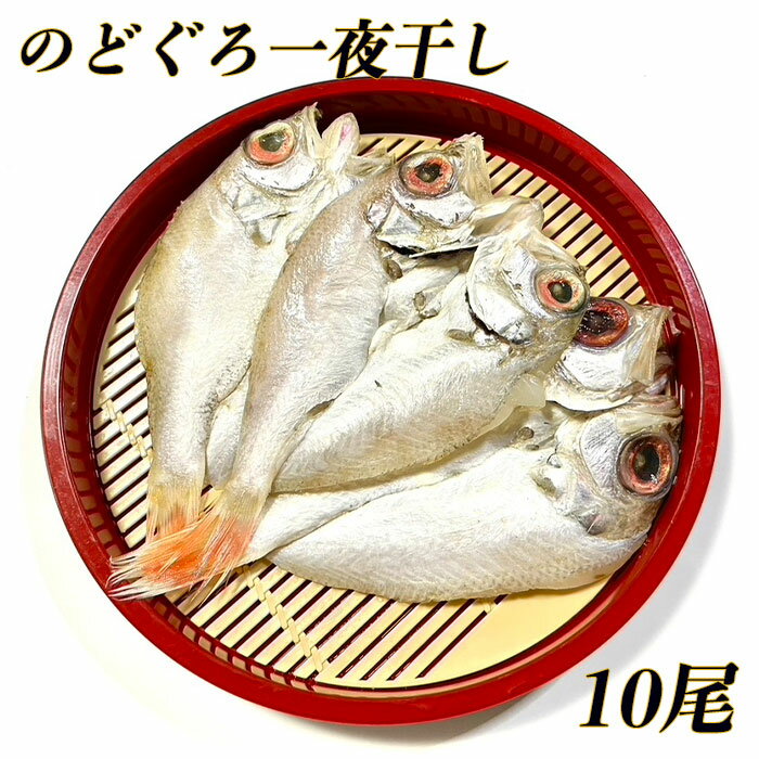 のどぐろ 干物 10尾 福岡 一夜干し 無添加 国産 のどぐろ 赤ムツ ノドグロ 博多 グルメ 高級 おつまみ 父の日 母の日 お歳暮 お中元 お祝い 珍味 老舗 ギフト 博多名物 福岡名物 敬老の日 焼魚 福岡 開き お取寄せ おとりよせ アカムツ 赤ムツ