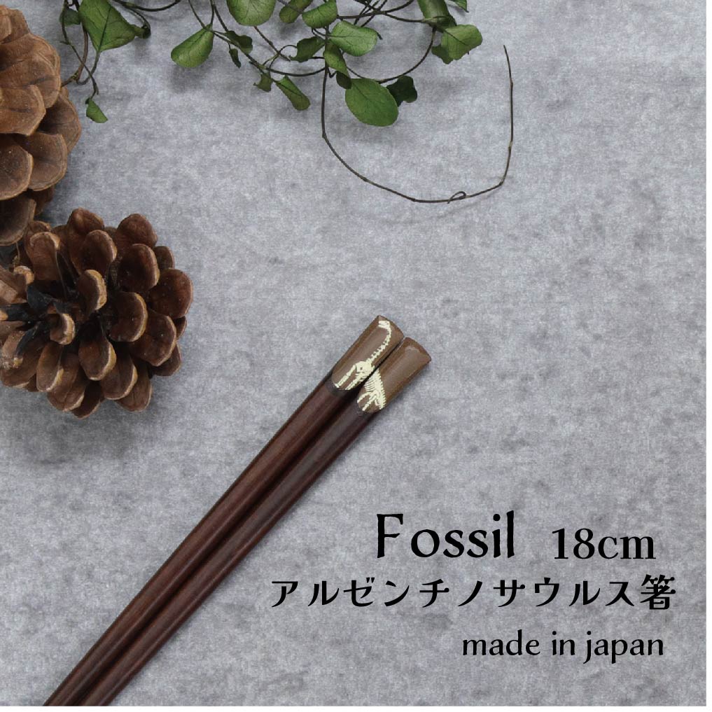 Fossil アルゼンチノサウルス箸 18.0cm 1膳