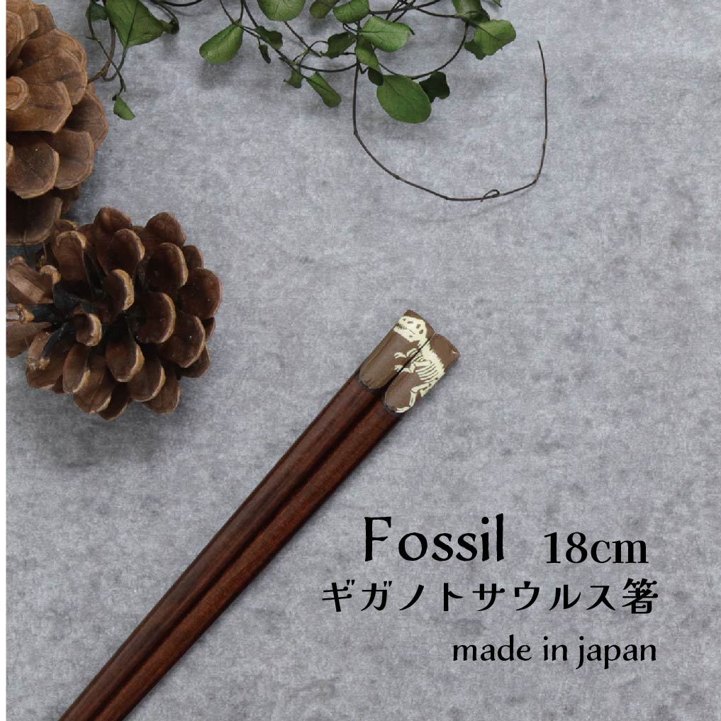 樂天商城 - Fossil ギガノトサウルス箸 18.0cm 1膳【Fossil 恐竜 日本製 18.0cm こども箸 子供箸 給食 すべり止め つまみやすい 使いやすい 練習 シンプル 骨格 骨柄 ダイナソー 古代 ネコポス対応 メール便対応 恐竜好き プレゼント 誕生日 プチギフト お祝い】[M便 1/20]