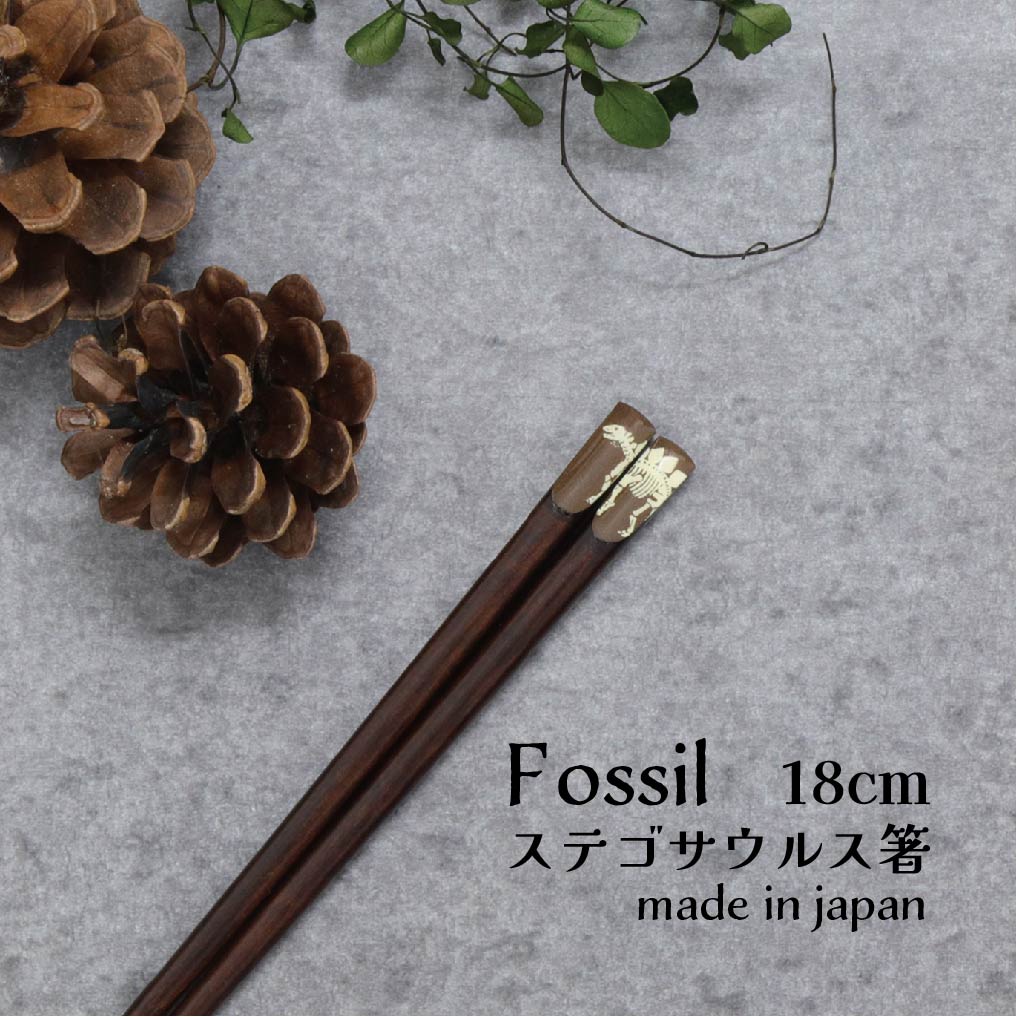 樂天商城 - Fossil ステゴサウルス箸 18.0cm 1膳【Fossil 恐竜 日本製 18.0cm こども箸 子供箸 給食 すべり止め つまみやすい 使いやすい 練習 シンプル 骨格 骨柄 ダイナソー 古代 ネコポス対応 メール便対応 恐竜好き プレゼント 誕生日 プチギフト お祝い】[M便 1/20]