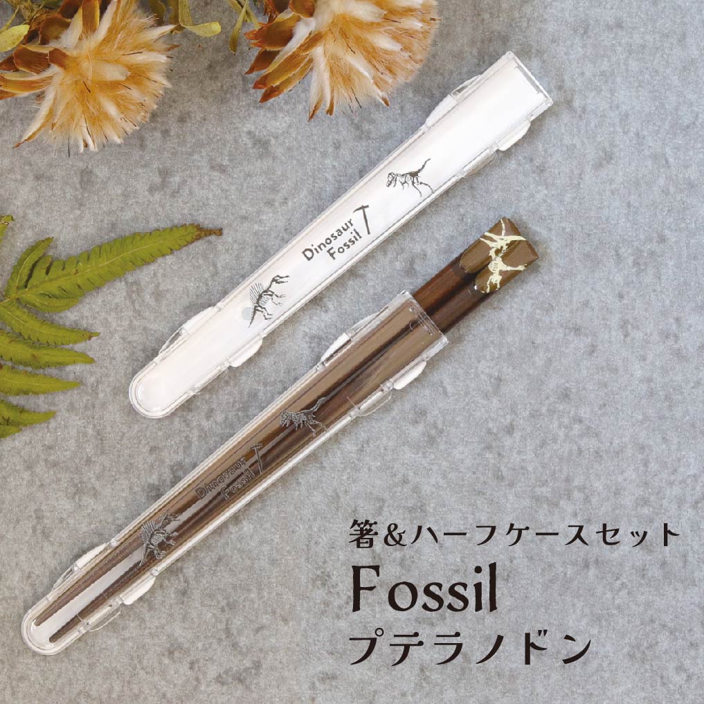 �ץƥ�Υɥ�β�����Ȥ �ϡ��ե�������Ȥ�Υ��å� Fossil 18.0cm��ȤȢ ��Ȥ������ �ϡ��ե����� Ȥ���� ȤȢ���å� ����ʤ� ��ε ���륨�å� ��...