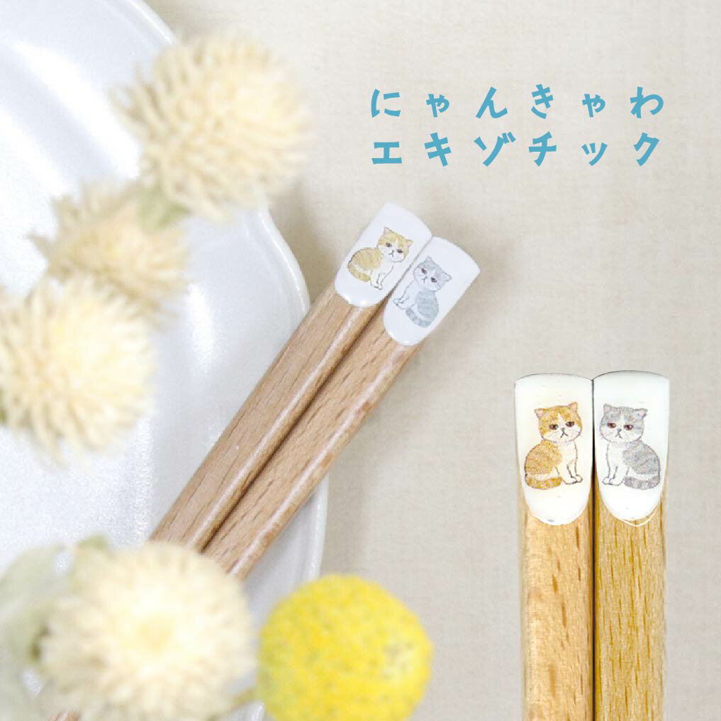 猫の箸にゃんきゃわエキゾチック[M...