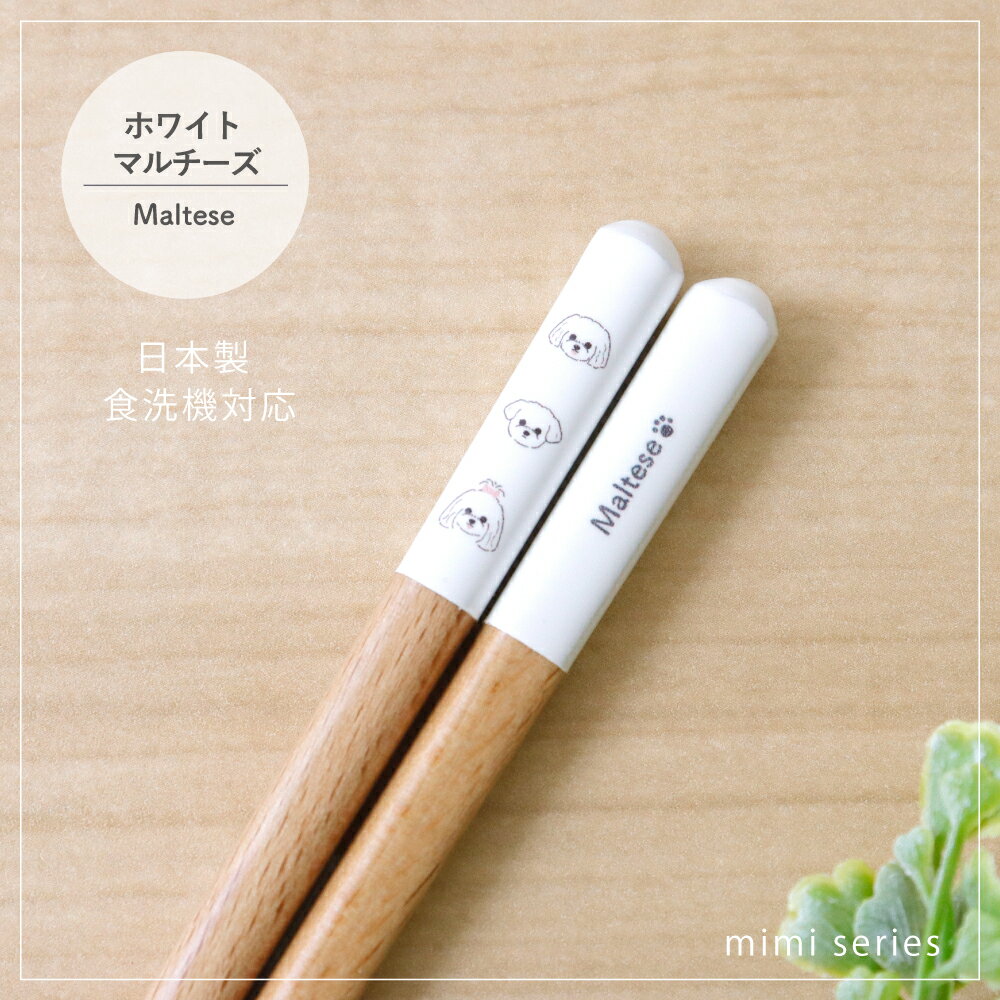樂天商城 - mimiシリーズ ホワイトマルチーズ箸 食洗機対応 1膳【日本製 23cm マルチーズ ナチュラル 田中箸店 食洗機対応 天然木 自然 犬柄 イヌ好き 愛犬 雑貨 かわいい カジュアル プレゼント ギフト 誕生日 記念日 メール便対応】[M便 1/20]